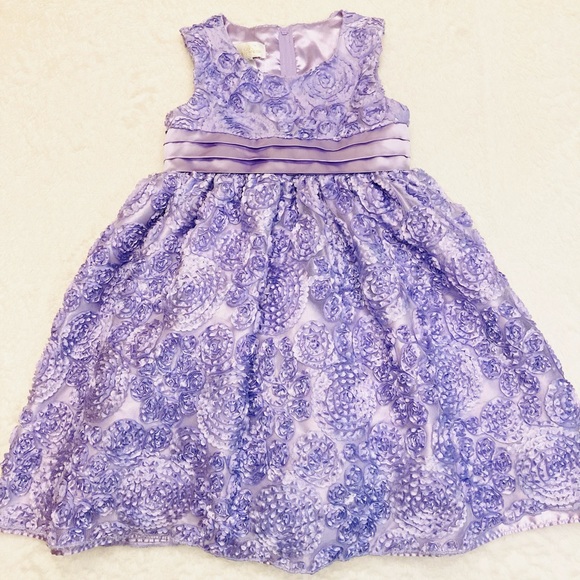 American Princess Other - American Princess💜Beautiful little girls dress.